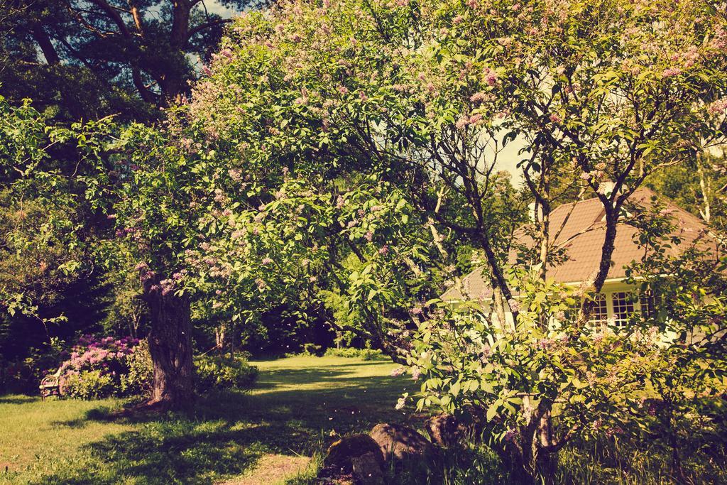 Adami Country Guesthouse Vainupea 외부 사진