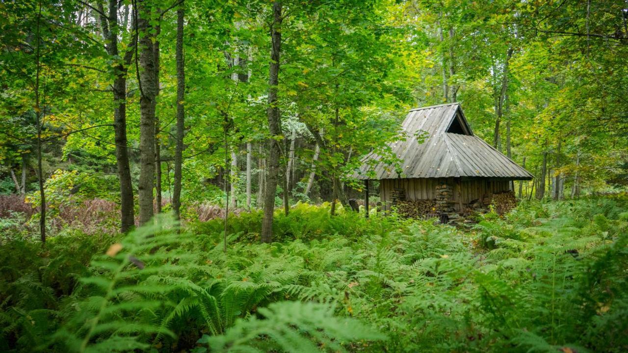 Adami Country Guesthouse Vainupea 외부 사진