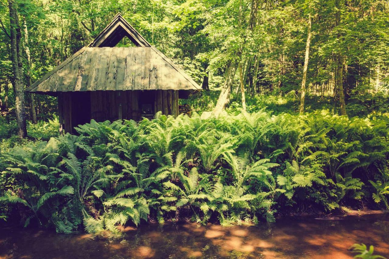 Adami Country Guesthouse Vainupea 외부 사진
