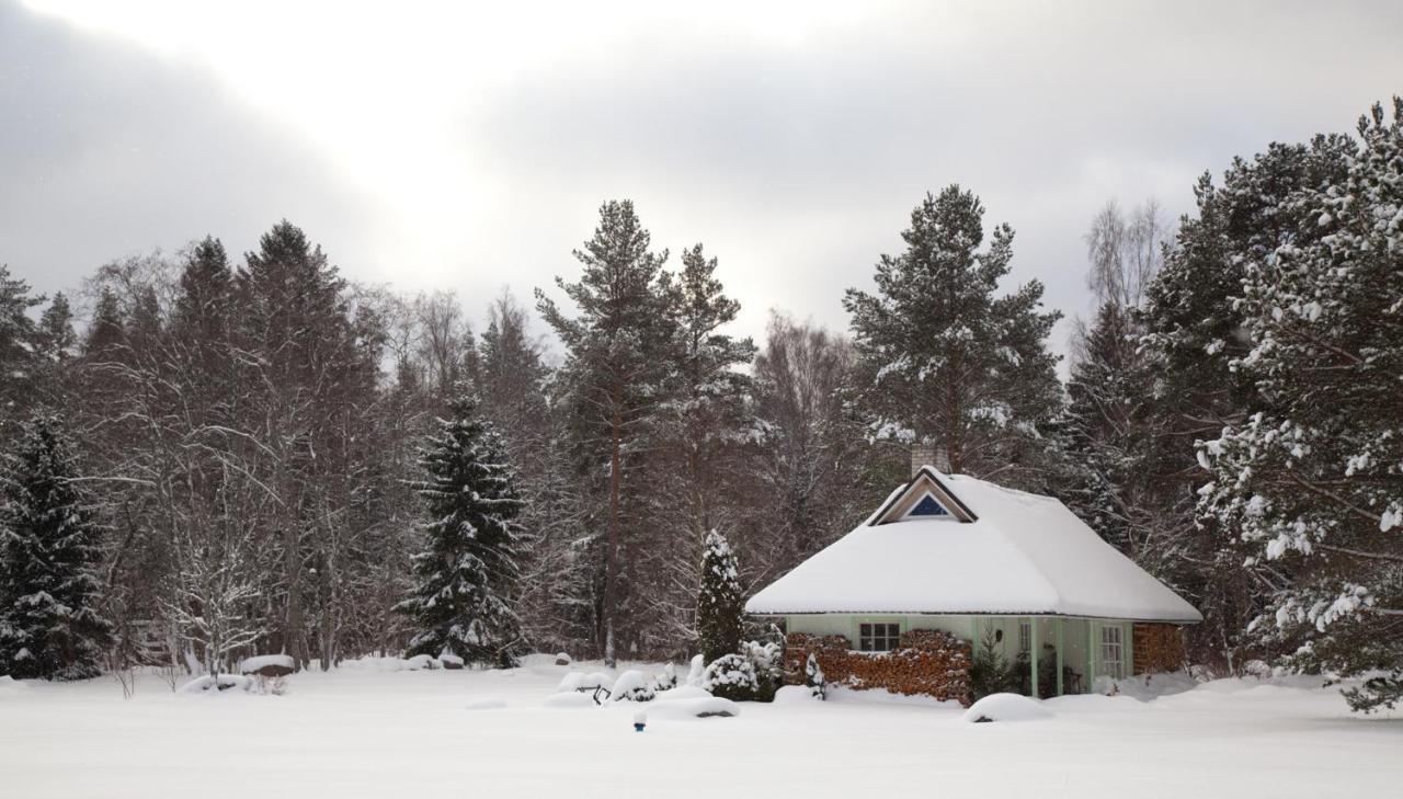 Adami Country Guesthouse Vainupea 외부 사진