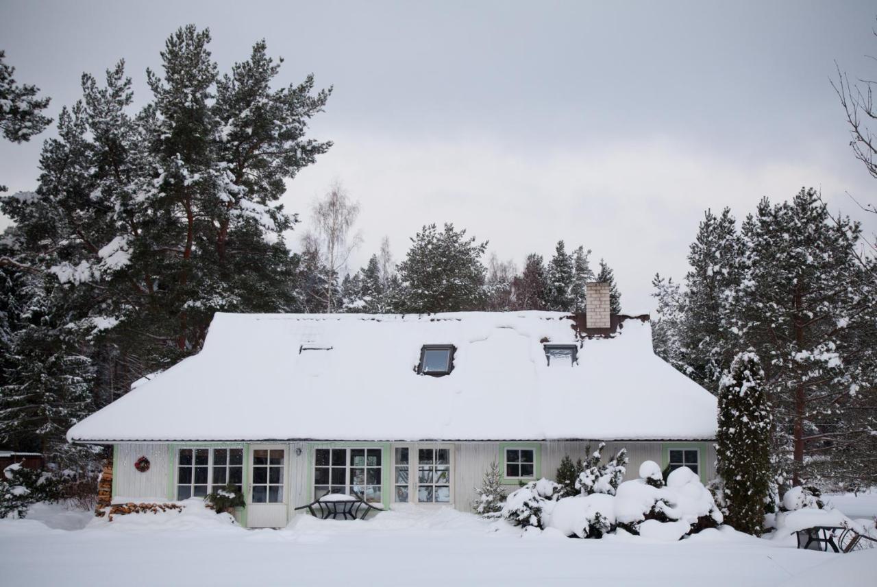 Adami Country Guesthouse Vainupea 외부 사진